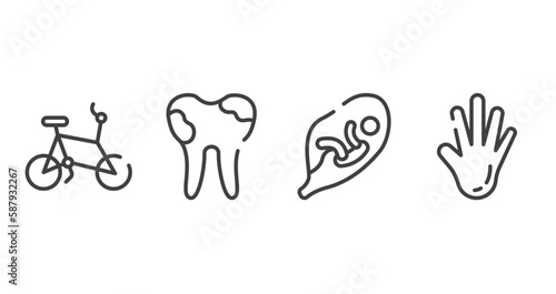 body parts outline icons set. thin line icons sheet included bicycle healthy transport, dental caries, fetus in an uterus, hand showing palm vector.