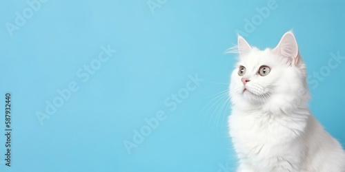 Cute White Kitten isolated on Blue Background. Generative AI