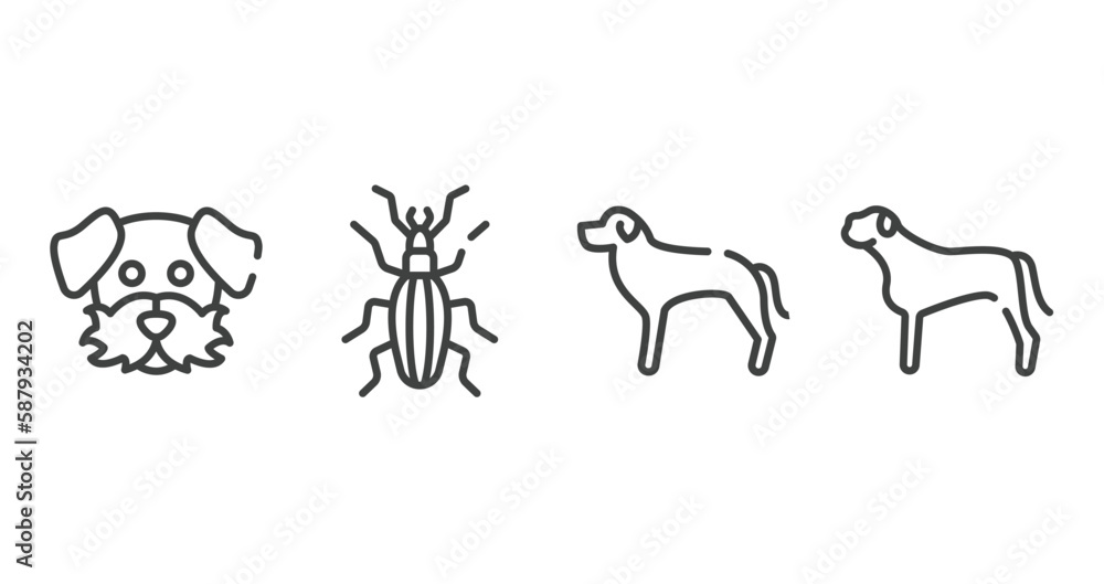 dog breeds fullbody outline icons set. thin line icons sheet included dog moustache, null, rottweiler, bullmastiff vector.
