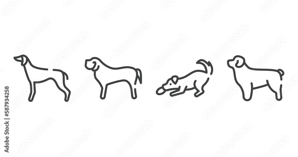 dog breeds fullbody outline icons set. thin line icons sheet included greyhound, english mastiff, dogs playing, newfoundland vector.