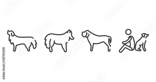 dog and training outline icons set. thin line icons sheet included bernese mountain dog, shetland sheepdog, mastiff, dog and man seating vector.