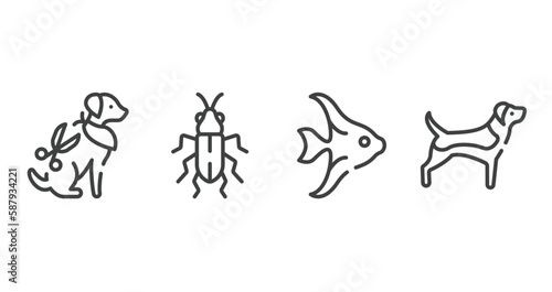dog breeds fullbody outline icons set. thin line icons sheet included grooming pet  red soldier beetle  angelfish  beagle vector.