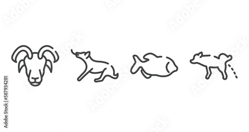 dog and training outline icons set. thin line icons sheet included male sheep head, dog playing, big piranha, dog urinating vector.