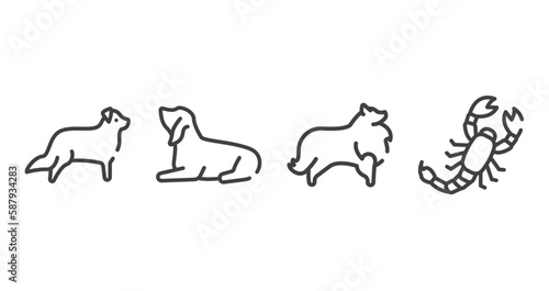 insects outline icons set. thin line icons sheet included bernese mountain, null, sheltie, scorpio vector.