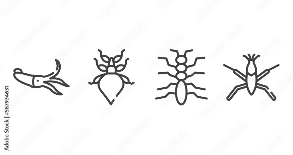 insects outline icons set. thin line icons sheet included squid, leaf insect, tree lobster, pond skater vector.