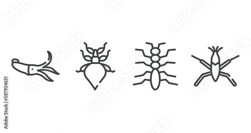 insects outline icons set. thin line icons sheet included squid  leaf insect  tree lobster  pond skater vector.