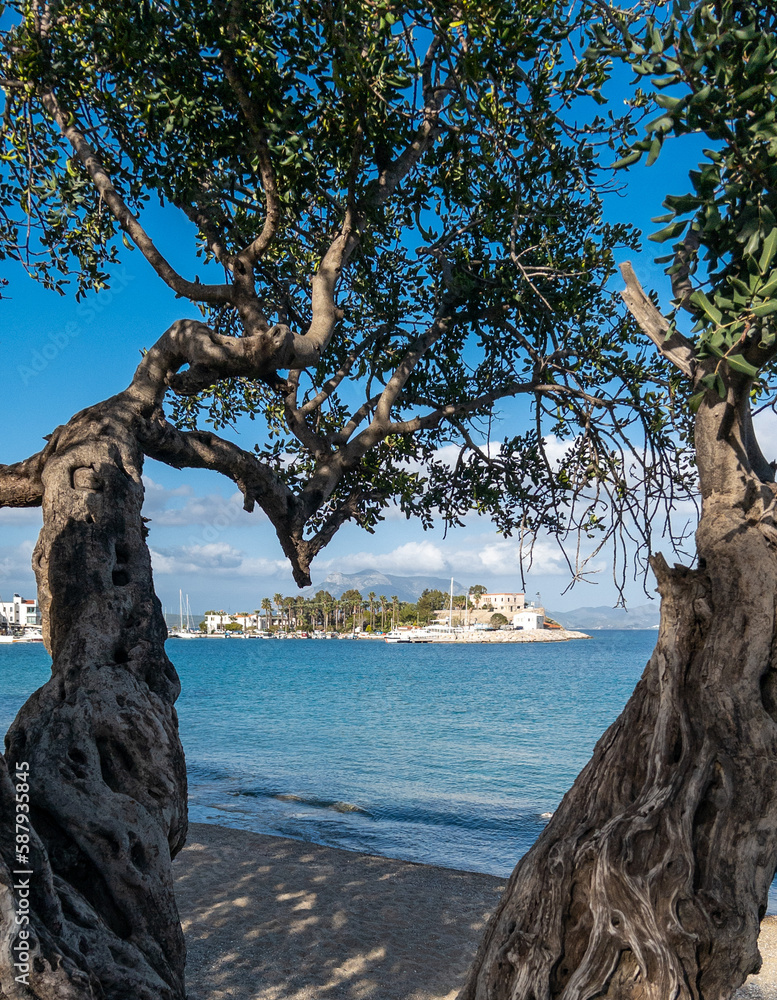 Fototapeta premium Mugla, Datca Town in Aegean cost of Turkey, Datca is a popular tourist destination