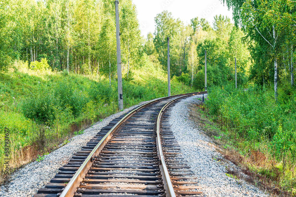 Railway in the Green Summer Forest