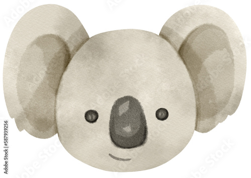 Photography Cute Watercolor Koala