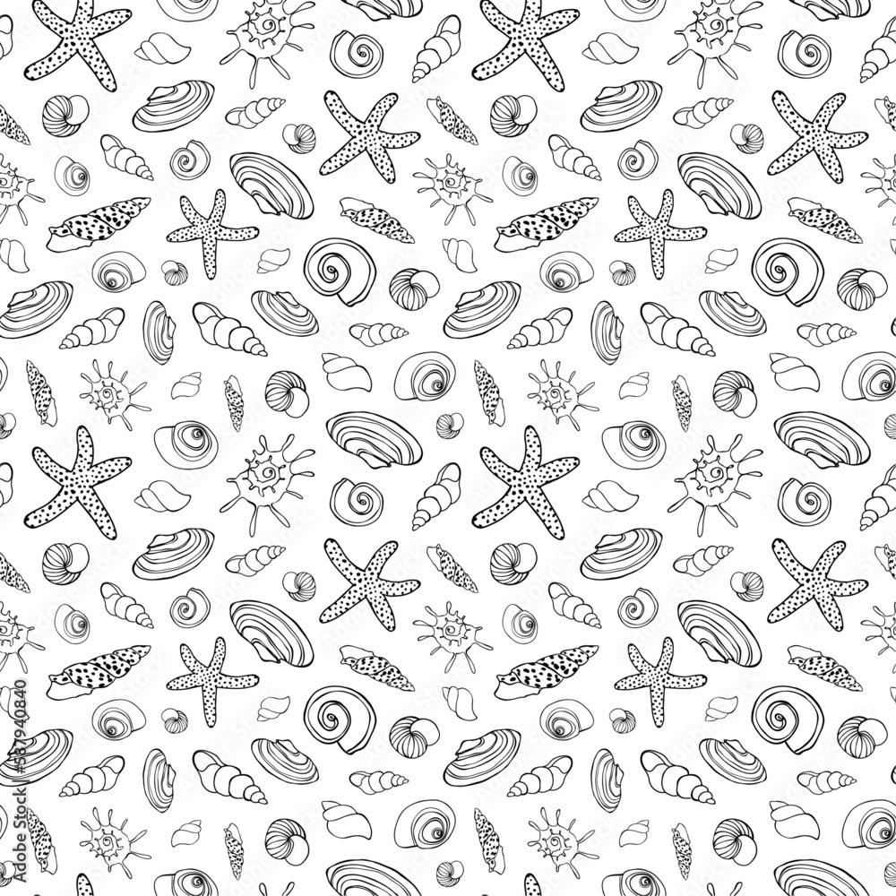 Fototapeta premium Sea shells on white background