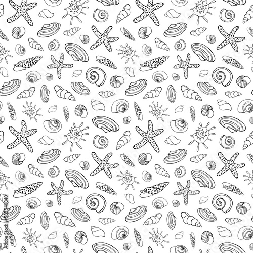 Sea shells on white background