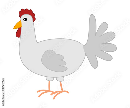 A white chicken isolated in profile on a white background