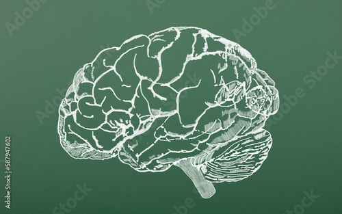 Human brain scheme vintage for Education or Science. photo