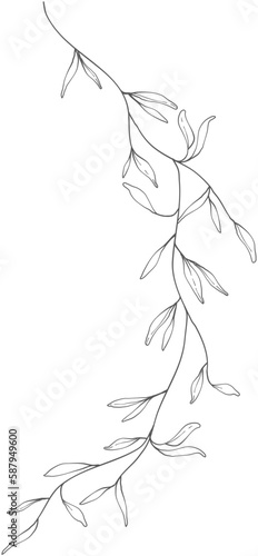 hand drawn floral elements.Floral line.