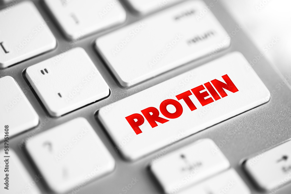 Protein - large biomolecules and macromolecules that comprise one or more long chains of amino acid residues, text concept button on keyboard Protein - large biomolecules and macromolecules that comprise one or more long chains of amino acid residues, text concept button on keyboard