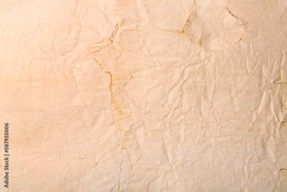 Sheet of old parchment paper as background, top view