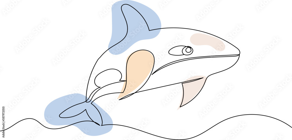 Fototapeta premium killer whale sketch, one continuous line drawing, vector