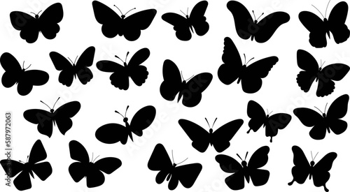 butterfly silhouette set isolated vector