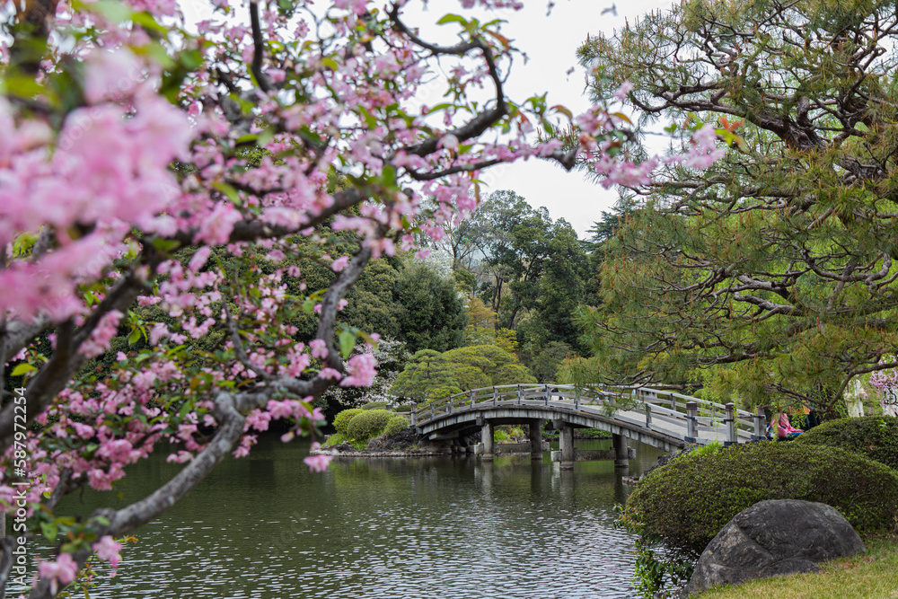 japanese garden in spring japanese garden in spring