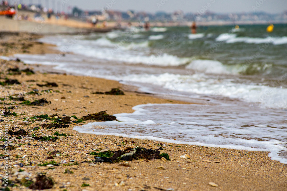 beach in the morning