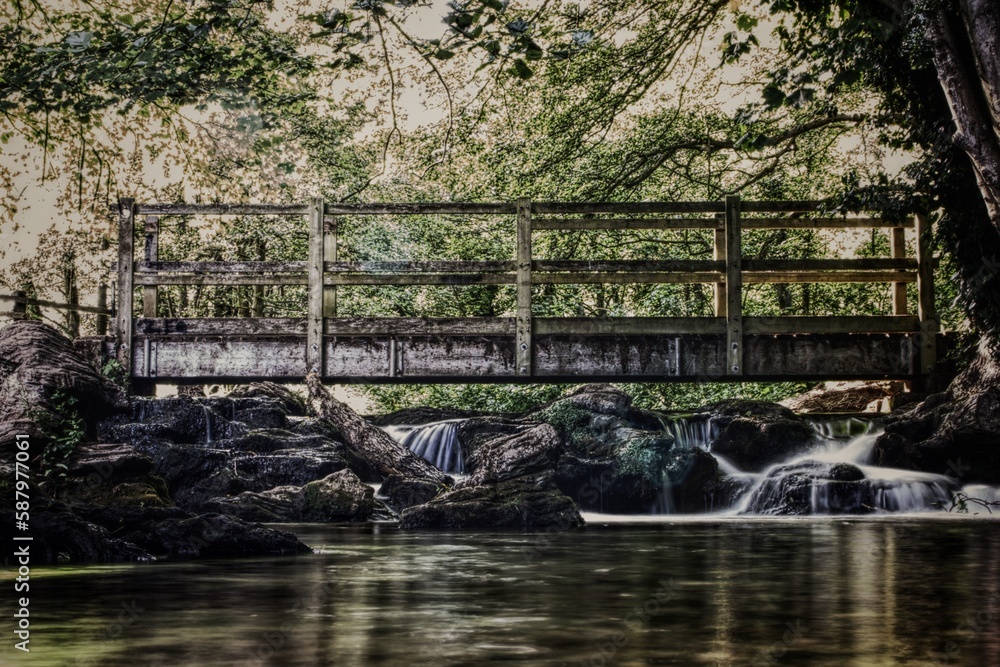 Fototapeta premium bridge over the river