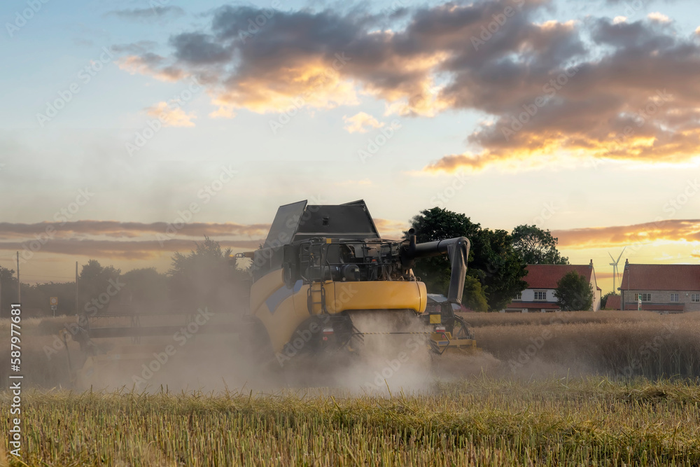 Fototapeta premium Wheat harvesting in the summer season by a modern combine harvester. Farmers securing food supply and feeding the nation