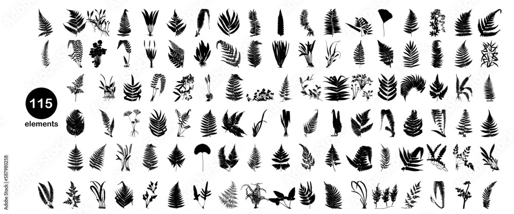fern silhouette set fern silhouette set