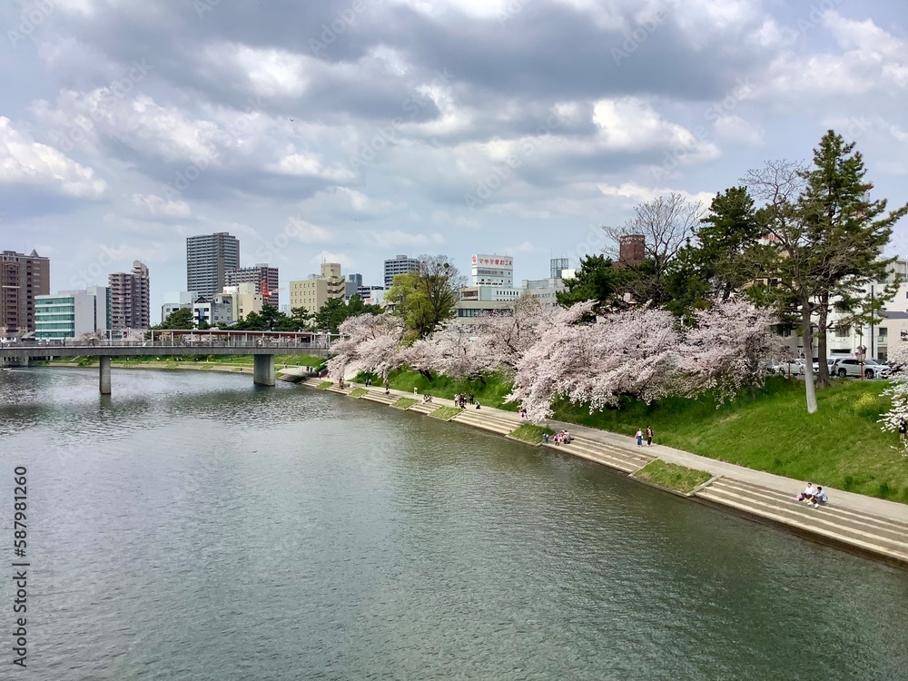 Scenery of Oto River near Okazaki Park with cherry blossoms