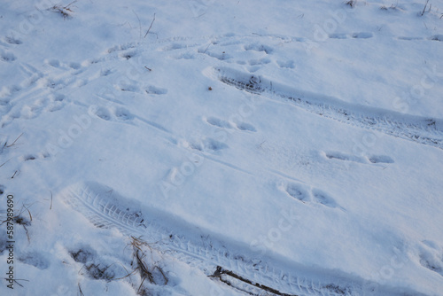 tire tracks on a snowy road © Сергей Луговский