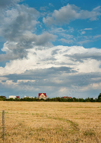 harvested wheat field and dry stubble, sky with beautiful clouds and village houses on the horizon