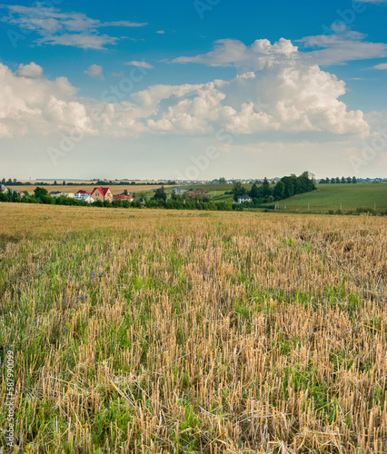 straw stubble of a harvested cereal field in the foreground, landscape of agr...