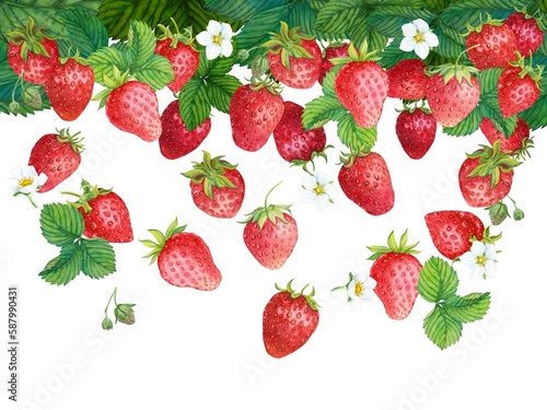 Falling strawberries, flowers and leaves on a white background. Watercolor illustration. Clipart for summer design, packaging of juice, yogurt, tea. Healthy and tasty ingredient in food and drinks.