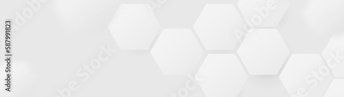 Abstract white minimal hexagon pattern background. futuristic technology concept background. Vector illustration