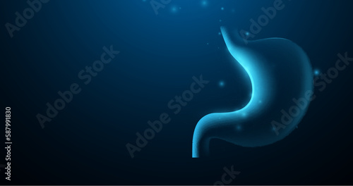 Human stomach. Internal organ. Illustration vector