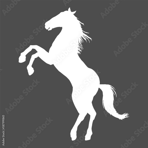 Vector White Silhouette Rearing Horse