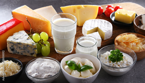 A variety of dairy products including cheese, milk and yogurt