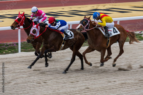 Obraz na płótnie 二頭を追う競馬馬の騎手は鞭を使う