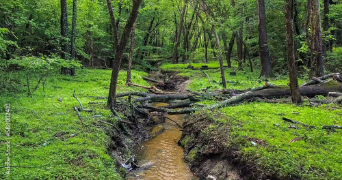 Natural pathways