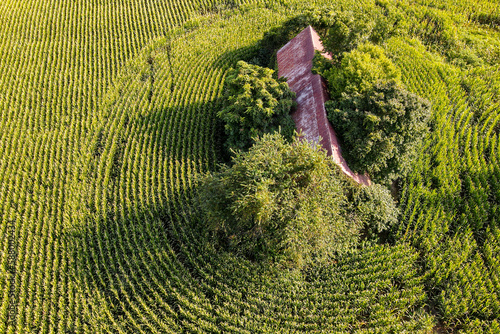 Natural pathways