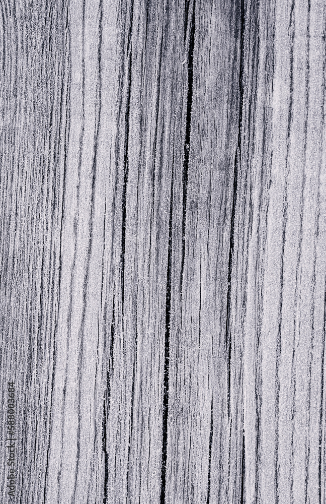 Obraz premium wooden log