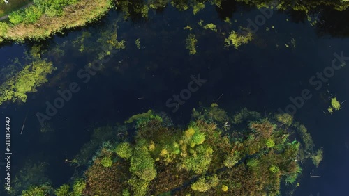 Drone flying very slowly forward over the forest and lake of Rude Skov, Denmark. There is a path cutting through the trees. The trees are in full bloom. It is a sunny spring day. 4K drone aerial  photo