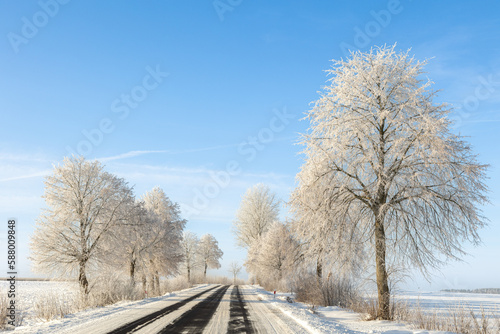 Landscape winter frosty sunny day, blue sky, trees covered with frost, Poland Europe © Marcin Perkowski