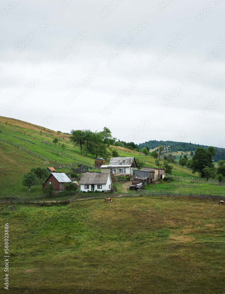 Traditional ukrainian houses in mountain village in summer. Mountain valley in Ukraine. Rural landscape with buildings, green grass, trees on the hill
