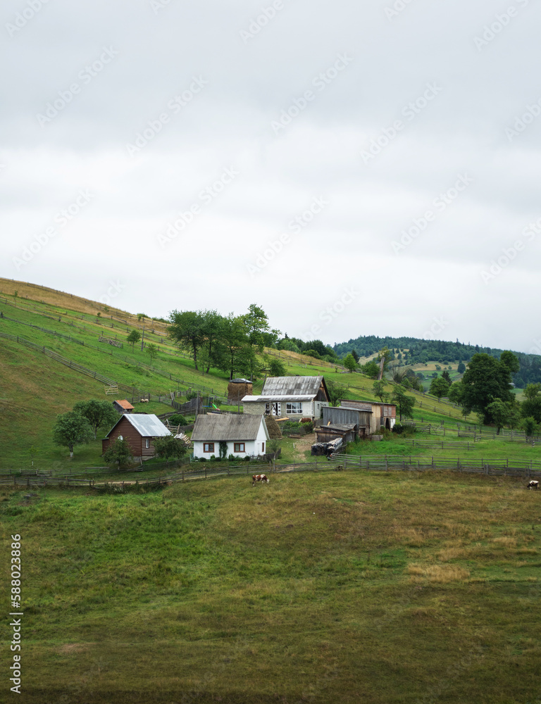 Traditional ukrainian houses in mountain village in summer. Mountain valley in Ukraine. Rural landscape with buildings, green grass, trees on the hill Traditional ukrainian houses in mountain village in summer. Mountain valley in Ukraine. Rural landscape with buildings, green grass, trees on the hill