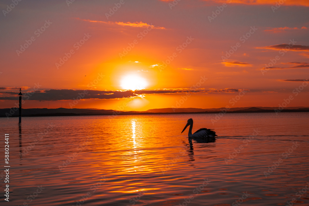 Sunset on the lake with a Pelican