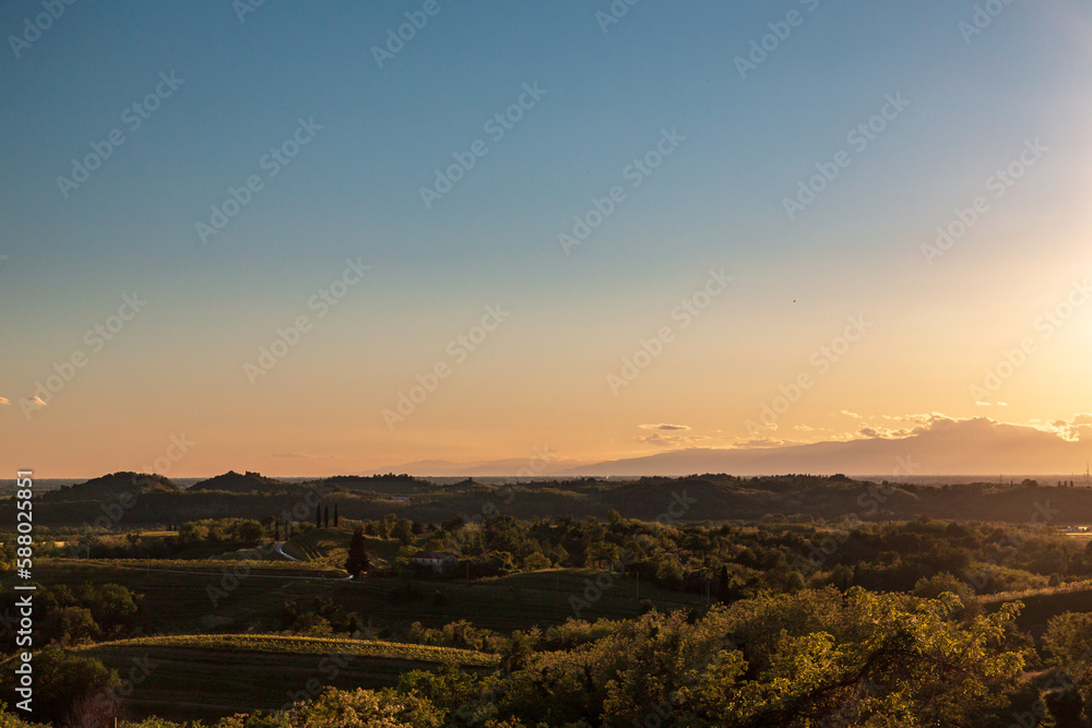 Spring sunset in the vineyards of Rosazzo