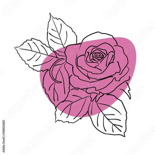 Fototapeta Naklejka Na Ścianę i Meble -  Hand-drawn vector illustration of a rose with leaves and pink spots on a background