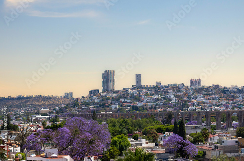 View of the city of Queretaro Mexico aqueduct with jacaranda tree