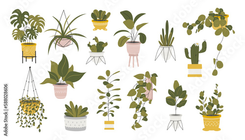 Collection of decorative houseplants isolated on white background. Bundle of trendy plants growing in pots or planters. Set of beautiful natural home decorations. Flat colorful vector illustration.