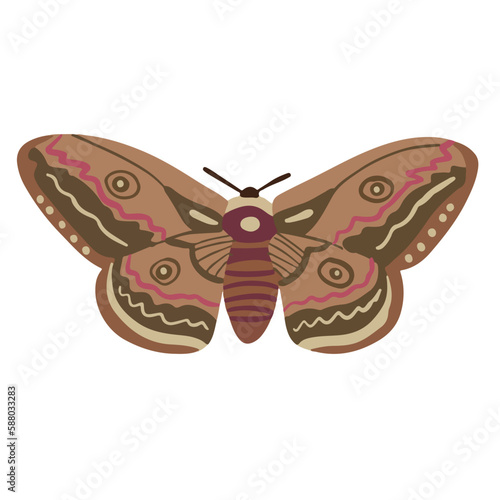 beautiful brown moth, good for graphic design resources